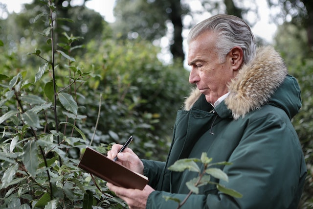 Taking your writing outside for inspiration